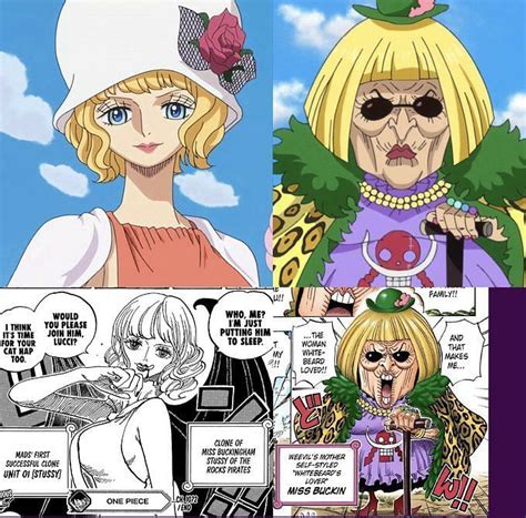 buckingham stussy|One Piece Chapter 1073 Recap & Spoilers: Miss Buckingham Stussy。